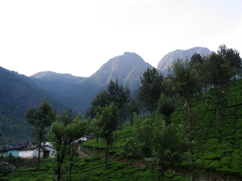 Nilgiris Hills - view of the mountains